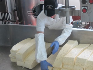 Hand Flipping the curds at Beecher's in Seattle